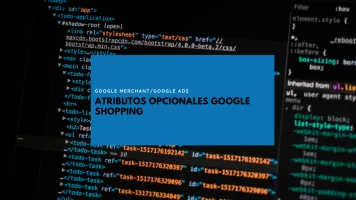 google shopping atributos