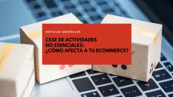 boe cese actividades ecommerce